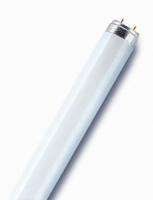 Лампа люминесцентная BASIC T8 18Вт T8 G13 линейная Ra >/=70 OSRAM 4008321959669